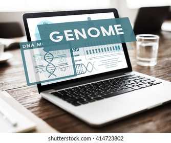 Genome Coding Biology Cell DNA Identity Stem Concept