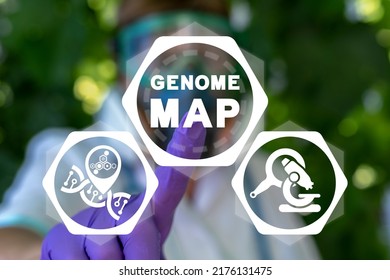 Genome Sequence Map Medical Science Concept. Dna Test. Big Genomic Data Visualization. Genome Map Decoding.