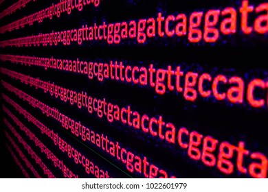 Genome sequencing. The deciphering of the DNA code, write the sequence of nucleotide bases.