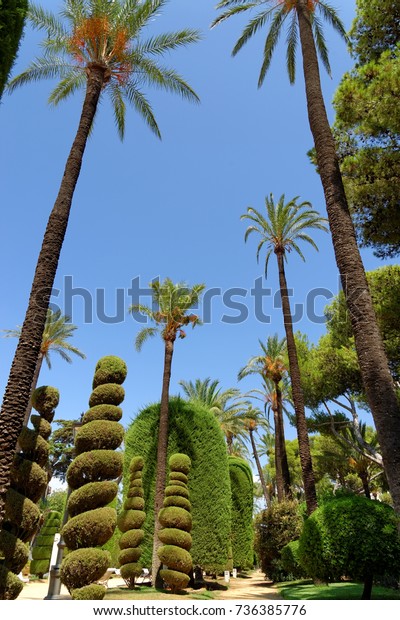 Genoves Park Exotic Garden Oasis Cadiz Stock Photo Edit Now