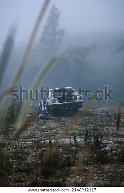Genting - Malaysia - 30 Nov 2021 - A image of a\
broken car and scary mood due to the white fog in the background\
and the yellow and orange grass and the cold weather and foggy mood\
making it cinematic