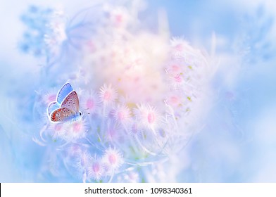 A gentle blue butterfly on a fluffy pink flower in nature in soft pastel colors with a soft focus, macro. Dreamy, romantic, elegant, art image of  living nature - Powered by Shutterstock