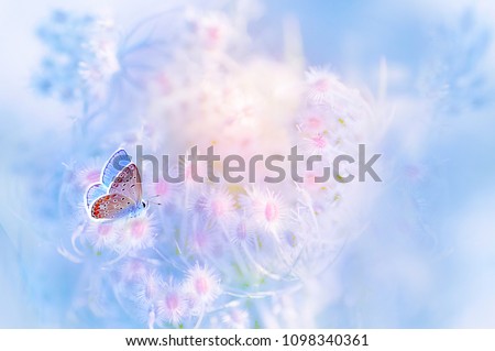 A gentle blue butterfly on a fluffy pink flower in nature in soft pastel colors with a soft focus, macro. Dreamy, romantic, elegant, art image of  living nature