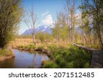 A gentle creek flows along the trail  of the Palmer Hay flats in Palmer, Alaska in a dreamy aura.