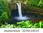 Gentle flow of the water and the peaceful ambiance of a serene waterfall in Wailuku River State Park.