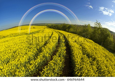 Similar – Old windmill at sunset. Spring Moravian rolling hills