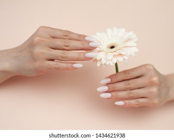 Gentle Nude Manicure Of The Bride With A Flower In Her Hand. Nail Design. Close-up.