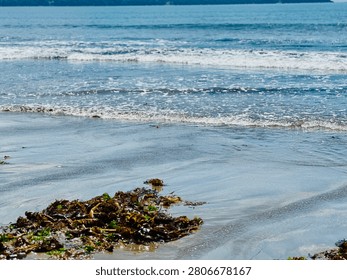 Gentle Ocean Waves Reaching a Sandy Beach with Seaweed Along the Shoreline.