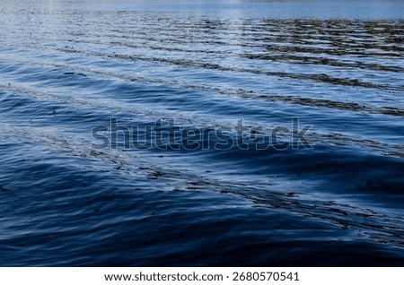 Gentle ripples and parallel wave patterns move across calm water surface under soft directional light; texture and motion suggest early or late daylight.