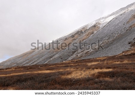 A gentle slope of a high mountain with a scattering of stones powdered with the first snow and a small clearing at the foot with yellowed grass and red moss on a cloudy autumn day. 