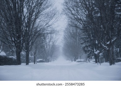 Gentle snowfall on a quiet suburban street. - Powered by Shutterstock