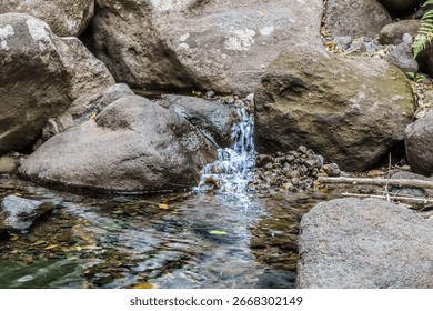 A gentle stream flows between rocks, creating a small waterfall in the forest, capturing the calm and purity of nature’s hidden beauty.