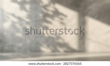 Gentle sunlight casts dappled shadows of tree leaves onto a textured wall and a clean floor, creating a serene and peaceful atmosphere.