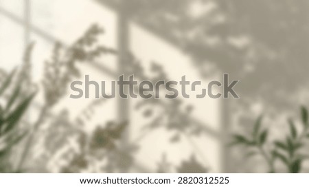 Gentle sunlight streams through a window, creating abstract patterns of leaf and frame shadows on a plain, textured wall, evoking a serene atmosphere.