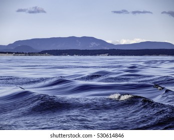 Salish Sea Images Stock Photos Vectors Shutterstock