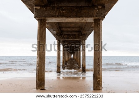 Under the Brigton Jetty .