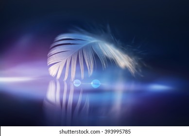 Gentle White Air Feather With Drops Of Dew On A Beautiful Soft Background. Soft Dreamy Tender Artistic Image Form For Postcard Or Wallpaper For Desktop. Macro