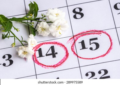 Gentle White Flowers On The Menstruation Calendar
