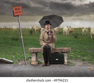 Gentleman with umbrella sitting on a bench and waiting for a bus