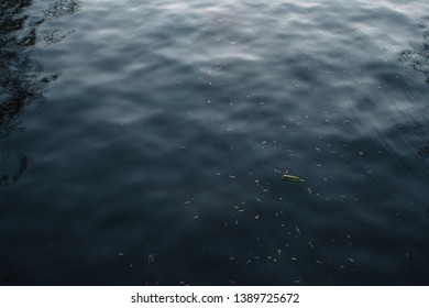 Gently lapping waves form ripples on the surface of dark blue water