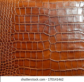 croc skin