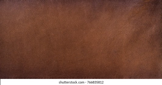Genuine leather texture background - Shutterstock ID 766835812