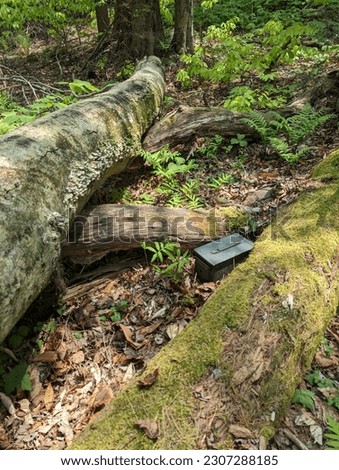 Geocache ammo can hidden next to fallen tree for Geocache Parks 