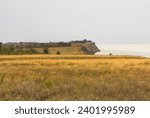 Geography. 30-meter clay cliffs on banks of Dnieper-Bug freshwater estuary as result of water erosion. Dry gullets and copses. Remains of untilled mat grass steppes (true steppe, virgin land)