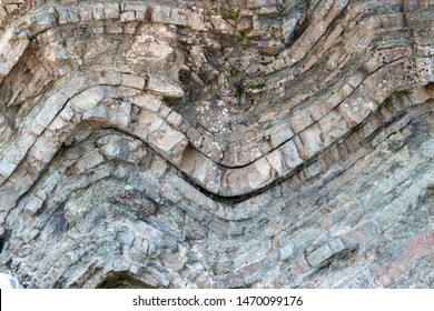 A geological fold in sedimentary rock. The fold is in a cliff. Many layers of sedimentary rock visible. Closeup view.