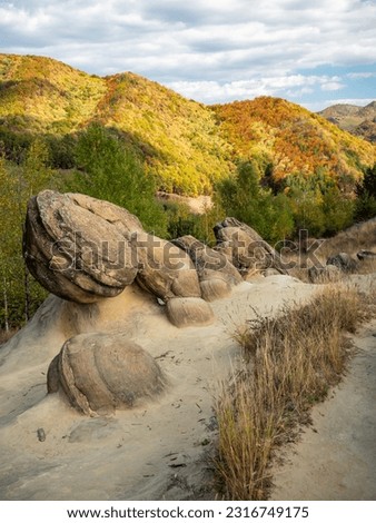 geological sedimentary rocks known as trovanti or the living stones in romanian, Buzau County (Babele de la Ulmet), Romania	