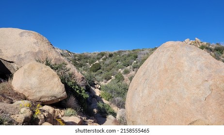 Geology In The High Desert, California