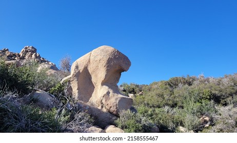 Geology In The High Desert, California