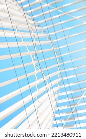 Geometric abstraction with a lot of white and black parallel curved lines, wide and thin on a blue background. Vertical photo