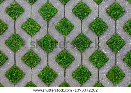 Geometric Concrete Of Parking Whith Green Grass. Grey Concrete Tile With Cells Of Eco Parking  With Hole For Grass, Top View.