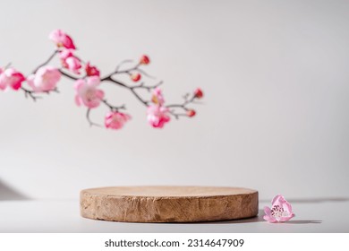 Geometric empty podium wooden platform stand for product presentation and spring flowering tree branch with pink flowers on white background.
