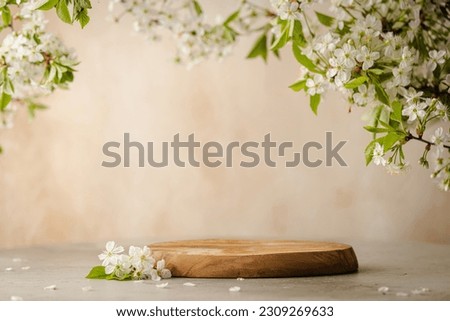Geometric empty podium wooden platform stand for product presentation and spring flowering tree branch with white flowers on pastel beige background.