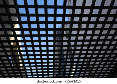 geometric figures and parallel lines on city streets and in nature