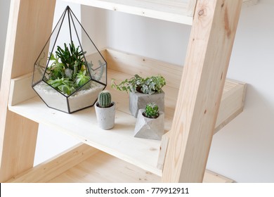 Geometric glass florarium vase with succulent plants and small cacti in a concrete geometric pots on wooden rack. Small garden with miniature cactuse, echeveria, crassula. House indoor plants. - Powered by Shutterstock