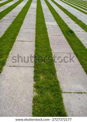Geometric Lawn Pattern, Parallel Grass Strips on Concrete
