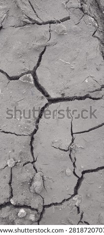 The geometric patterns of the cracks create a compelling natural texture, useful for climate change, agriculture, or environmental contexts.
