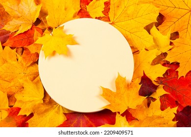 Geometric Round Podium Platform Stand For Cosmetic Beauty Product Presentation On Red, Orange And Yellow Autumn Maple Fall Leaves Background. Mock Up Of Beige Color Circle Showcase Podium. Top View