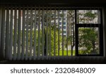 Geometrical and natural beauty together representing interiors. Modern closed window view, green window view, North South University Dhaka Bangladesh
