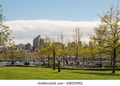 George Wainborn Park Trees In Sunny Day, Vancouver, BC