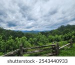 Georgia Skyline, Taken at Brass Town Bald 