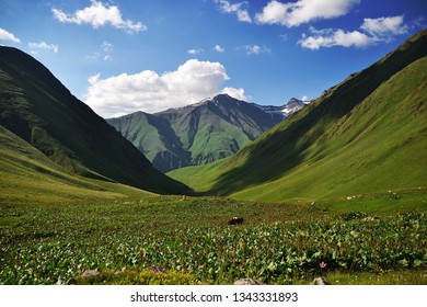 Georgia, The Village Of Juta, The Municipality Of Kazbegi