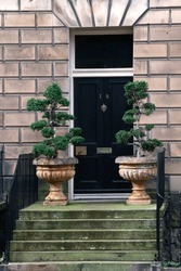 Georgian Black Door, Entrance To House, With Two Trees In Plant Pots. Decorative Fanlight, Brass Hardware, Columns, Railings And Steps. Edinburgh Scotland