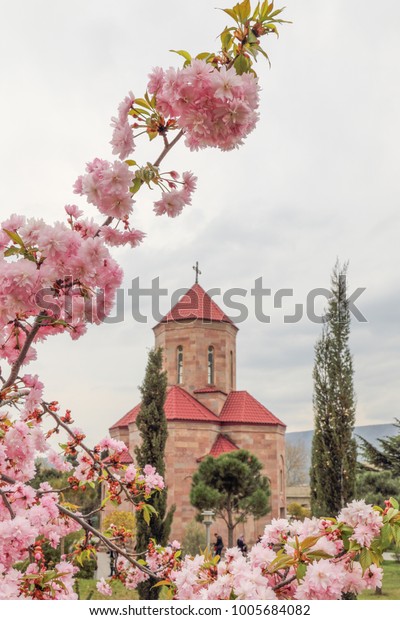 Georgian Orthodox Church Blooming Tree Spring Stock Photo Edit Now 1005684082