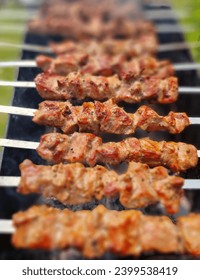 Georgian shish kebab on the grill.