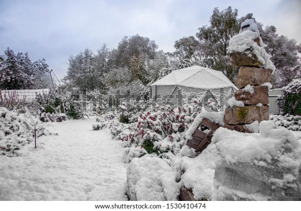 Geosphere greenhouse under the snow in the backyard\
of the house. First\
snow