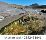 Geothermal activity in the highlands, Geyser Blanco, San Pedro De Atacama, Chile